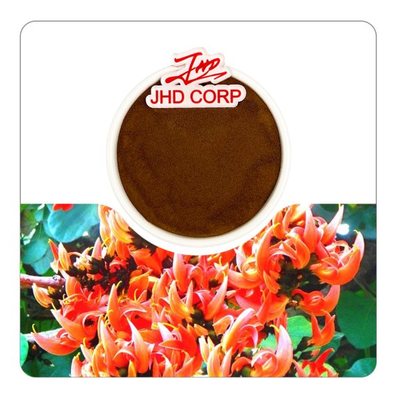 Red Kwao Krua Powder