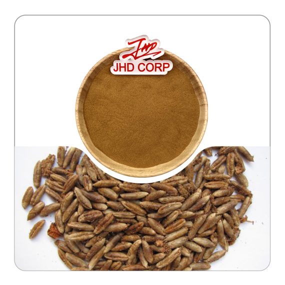Date Seed Extract Powder