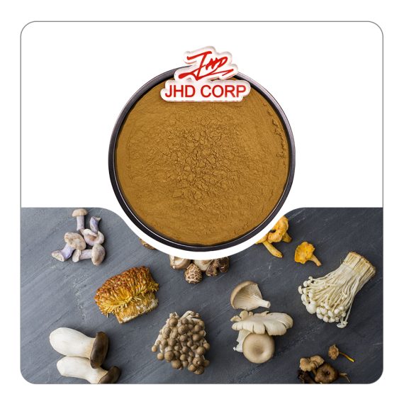 Chaga Mushroom Extract Powder