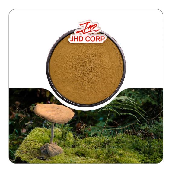 Organic Tiger Milk Mushroom Extract Powder