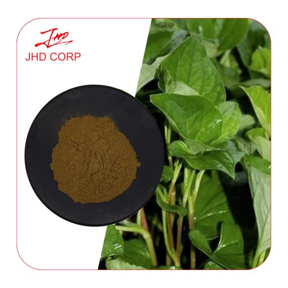 Houttuynia Cordata Extract
