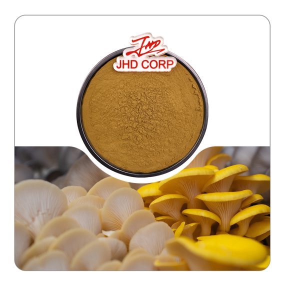 Phellinus Linteus Extract Powder