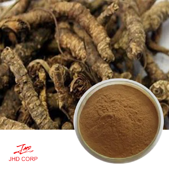 Picrorhiza Extract