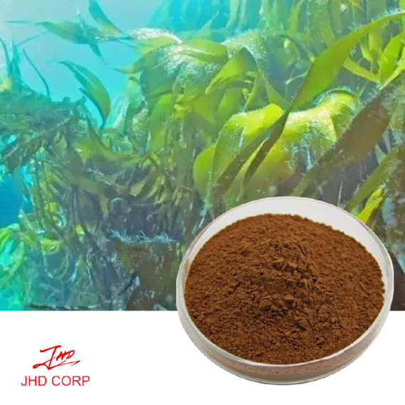 Bladder Wrack Extract(Fucus Vesiculosis Extract)