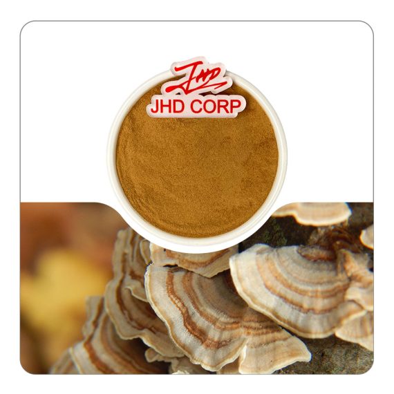 Cloud Mushroom Extract