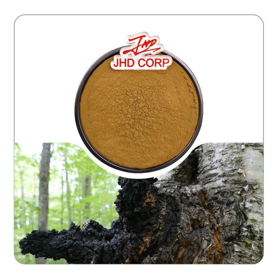Chaga Mushroom Extract