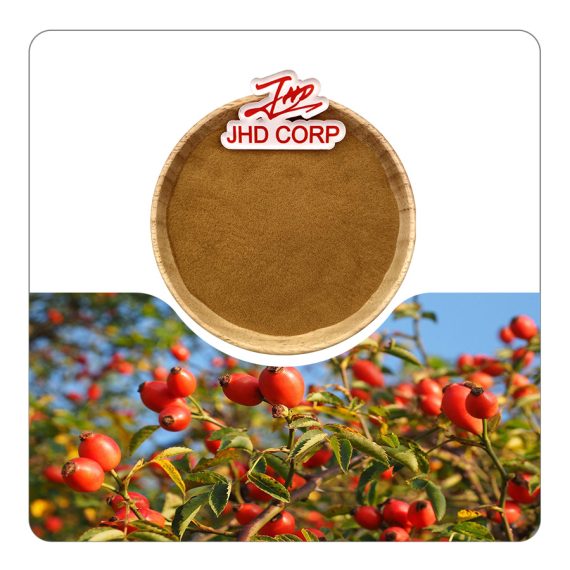 Rosehip Extract