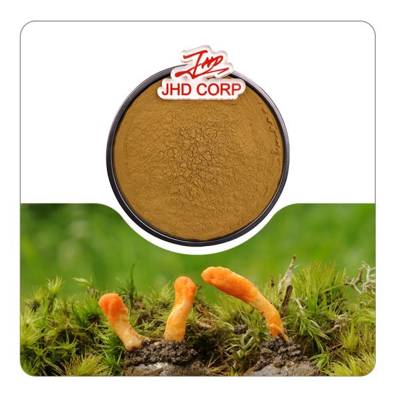 Cordyceps Sinensis Extrac