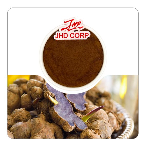 Black Ginger Extract