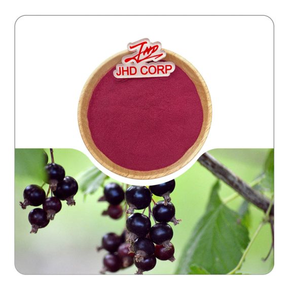 Black currant powder