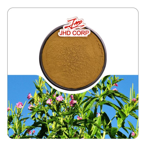 Epilobium Parviflorum Extract