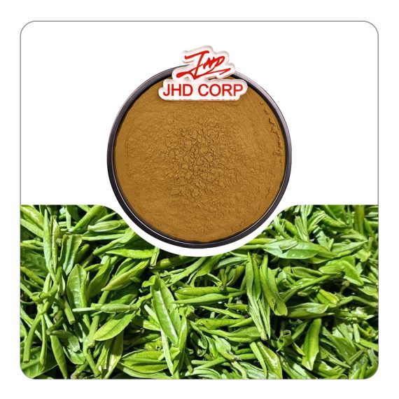 Green Tea Extract
