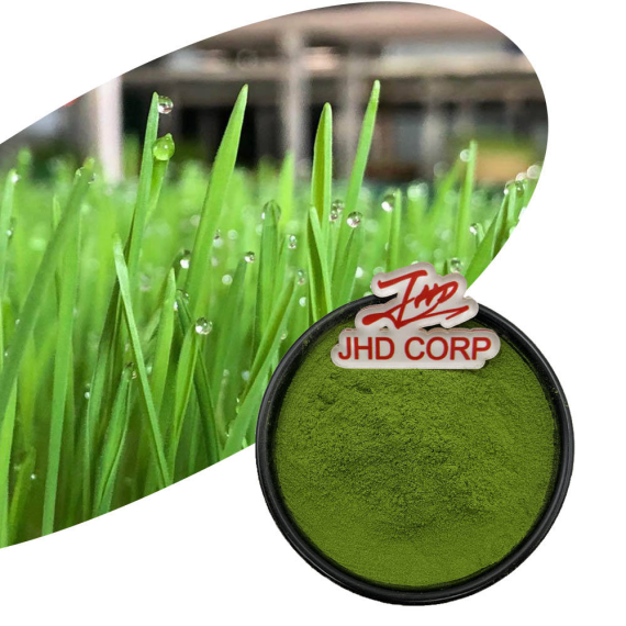 Wheat Grass Extract