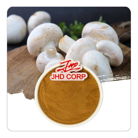 White Button Mushroom Extract