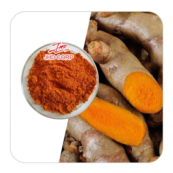 Curcumin Extract