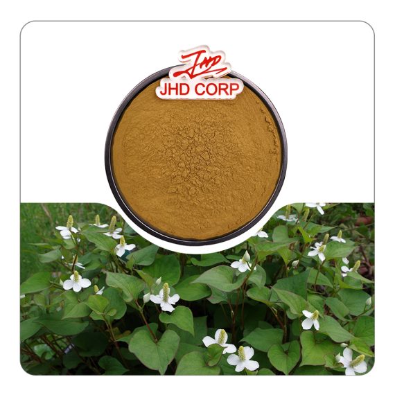 Houttuynia Cordata Extract