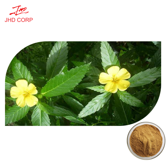 Damiana Extract